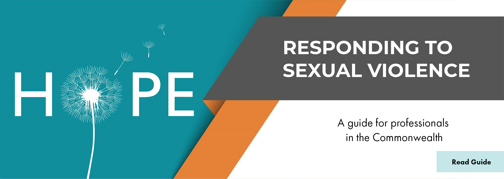 Header Banner - Responding to Sexual Violence